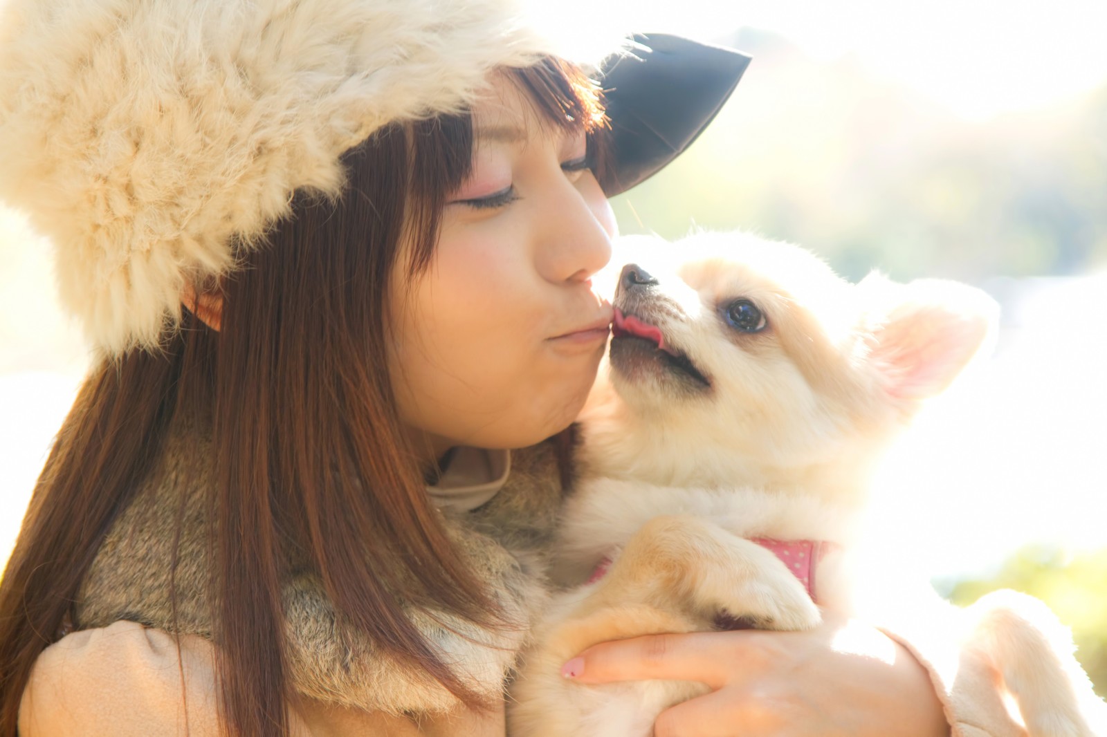 犬は舐める場所によって伝えたいことが違う 豆柴の専門ブリーダー 日本犬豆柴育成普及会 摂州宝山荘